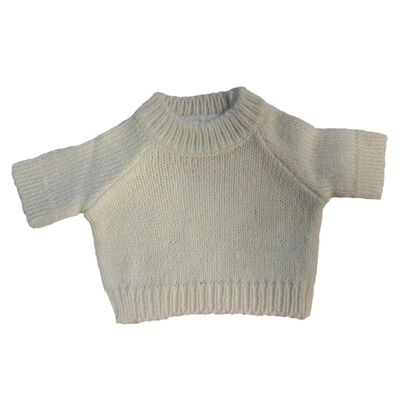 Teddy jumper Thumbnail